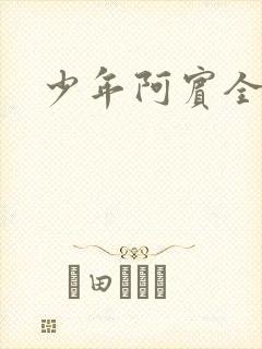 少年阿宾全文封面