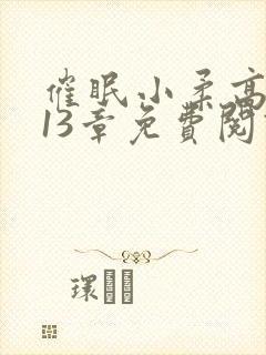 催眠小柔高达第13章免费阅读