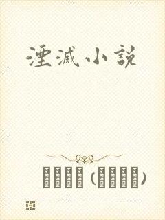 湮灭小说封面
