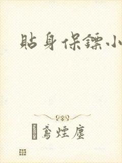 贴身保镖小说封面