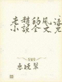 老赵的风流人生小说全文免费阅读封面