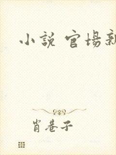 小说 官场新贵