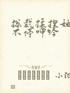 总裁揉捏她两乳不停呻吟