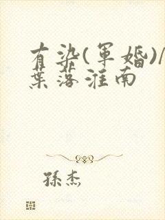 有染(军婚)/叶落淮南封面