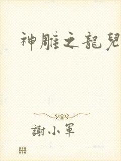神雕之龙儿别传封面