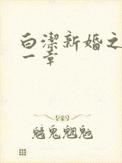 白洁新婚之夜第一章