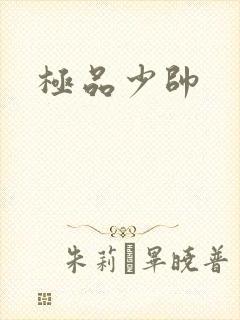 极品少帅封面