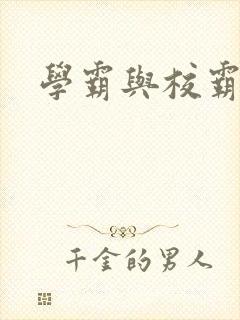 学霸与校霸