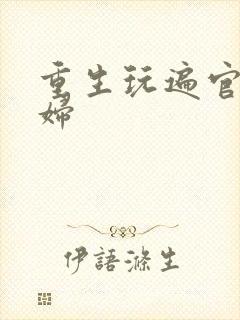 重生玩遍官场贵妇