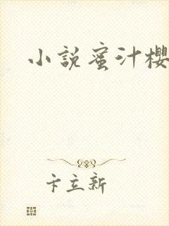 小说蜜汁樱桃