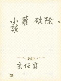 小萝 破除 小说