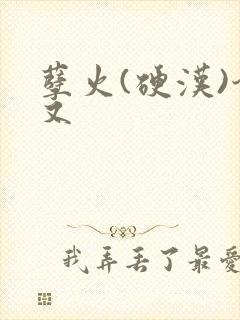 孽火(硬汉)今又