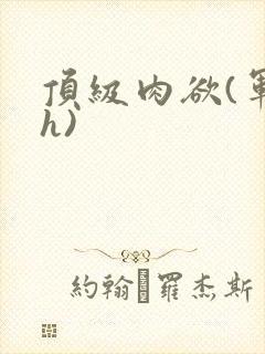 顶级肉欲(军高h)