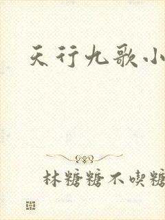 天行九歌小说