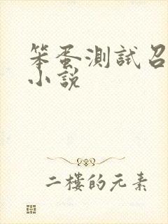 笨蛋测试召唤兽小说