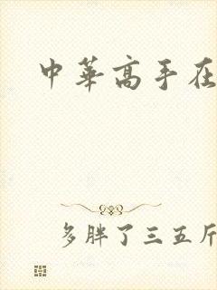 中华高手在异世