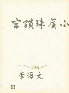 宫锁珠帘小说封面