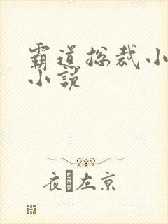 霸道总裁小娇妻小说