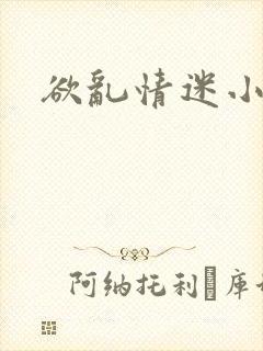 欲乱情迷小说封面