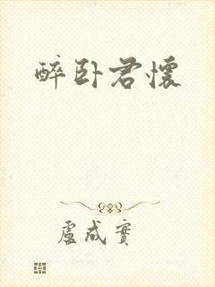 醉卧君怀封面