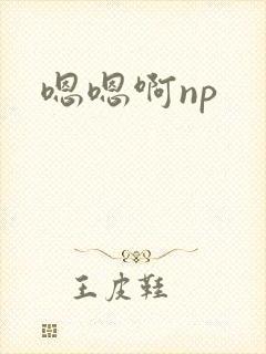 嗯嗯啊np