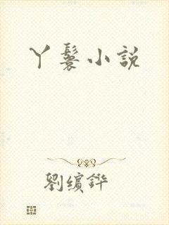 丫鬟小说