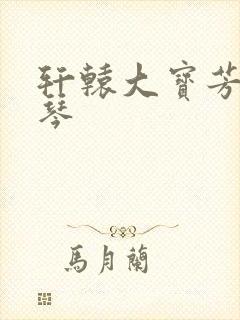 轩辕大宝芳菲雅琴封面