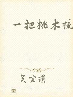 一把桃木梳封面