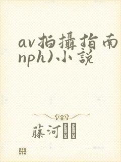 av拍摄指南(nph)小说