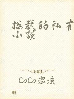 总裁的私有宝贝小说