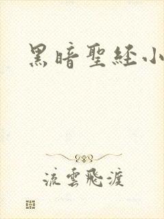 黑暗圣经小说