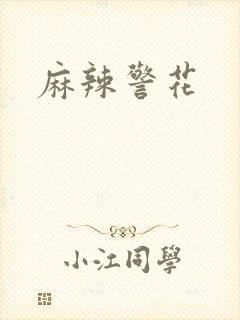 麻辣警花
