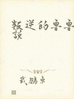叛逆的鲁鲁修小说