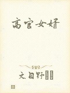 高官女婿