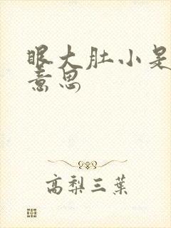 眼大肚小是什么意思