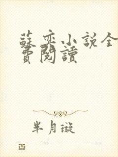 苏奕小说全文免费阅读