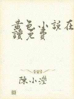 黄色小说在线阅读免费
