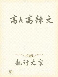 高h高辣文
