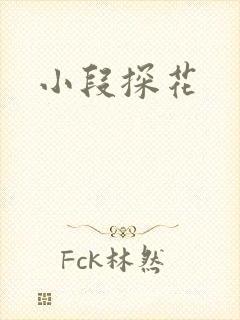 小段探花