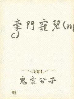 豪门宠儿(npc)
