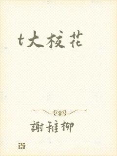 t大校花封面