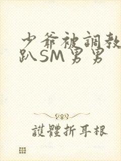 少爷被调教室跪趴SM男男