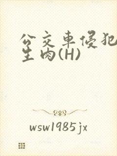 公交车侵犯小男生肉(H)