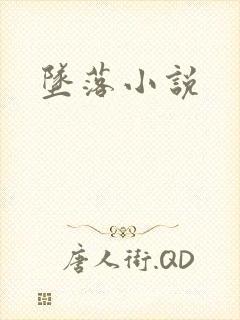 坠落小说