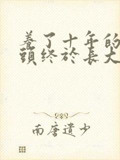 养了十年的小丫头终于长大了封面