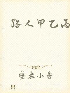 路人甲乙丙丁封面