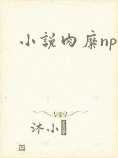 小说肉糜np