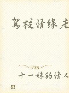 驾校情缘老赵