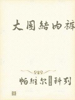大团结内裤奇缘封面
