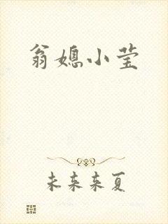 翁媳小莹封面
